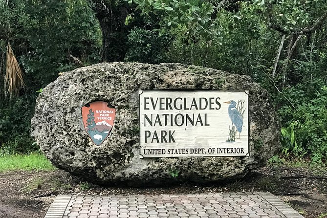 Full-Day Kayak Adventure in the Everglades - Wet cypress dome slogging: what it feels like and how to handle it