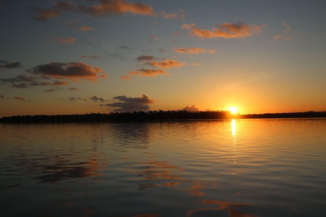 Full-Day Kayak Adventure in the Everglades - Paddling mangroves: the quiet work of spotting wildlife