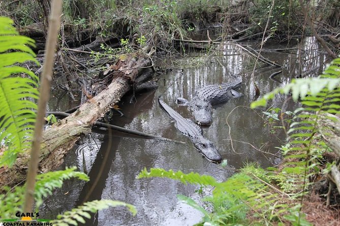 Full-Day Kayak Adventure in the Everglades - Price and value: what $75 includes, and what you must supply