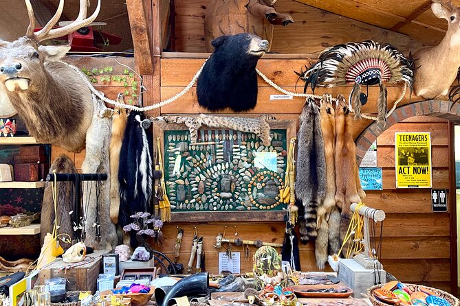 Gem Mining and Goat Farm Walking Tour in Hendersonville - When to go and how to plan your 2-hour visit