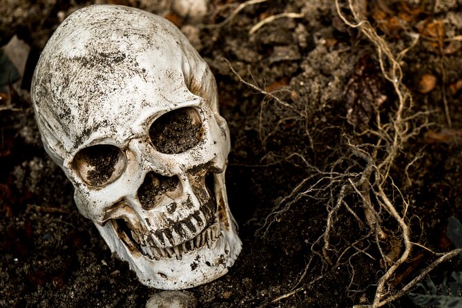 Gettysburg: Ghost Hunt Tour with Ghost Hunting Equipment - Should you book the Gettysburg Ghost Hunt Tour?