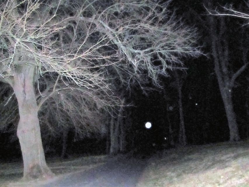 Gettysburg: Ghost Hunt Tour with Ghost Hunting Equipment - Who Should Book This Ghost Hunt in Gettysburg