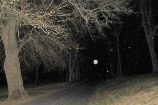 Gettysburg: Ghost Hunt Tour with Ghost Hunting Equipment - A Guided Walk Through Gettysburg’s Old Town Streets