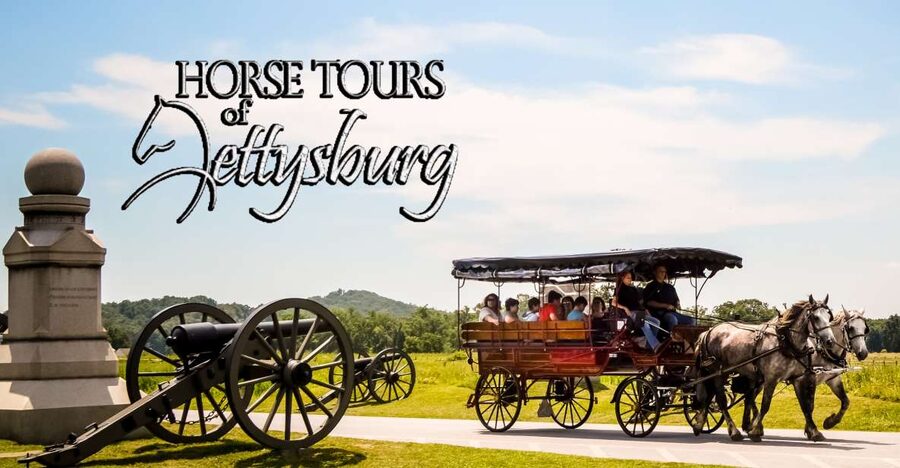 Gettysburg: Horse-Drawn Carriage Battlefield Tour - The guide is the main event, and you get to ask questions