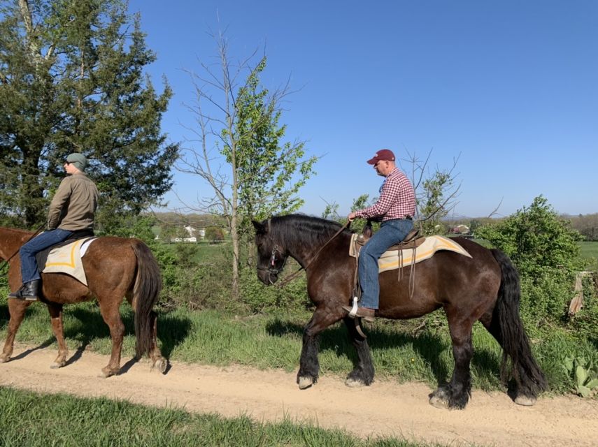 Gettysburg: Licensed Guided Battlefield Horseback Tour - Key highlights that make this tour worth your time