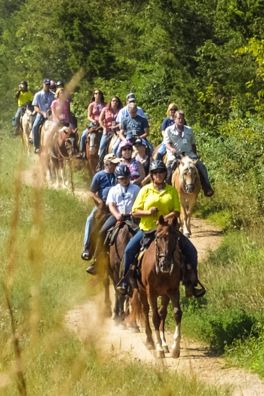 Gettysburg: Licensed Guided Battlefield Horseback Tour - The guide experience: from clear narration to horse-smart instructions