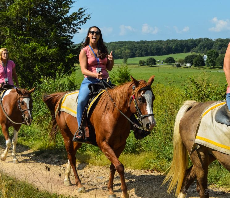 Gettysburg: Licensed Guided Battlefield Horseback Tour - Who this tour is for, and who should skip it