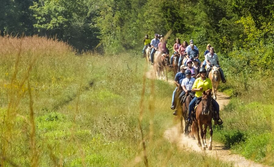 Gettysburg: Licensed Guided Battlefield Horseback Tour - How the 2-hour ride actually feels, in real time