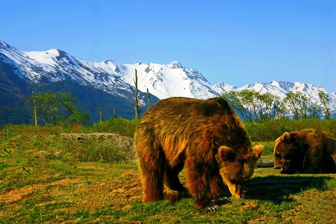Glacier View & Wildlife Anchorage Adventure Tour - What’s included, what is not, and how to plan your day
