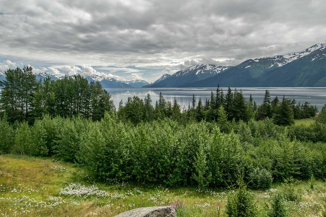 Glaciers and Wildlife: Super Scenic Day Tour from Anchorage - What’s included, what isn’t, and how to plan your day