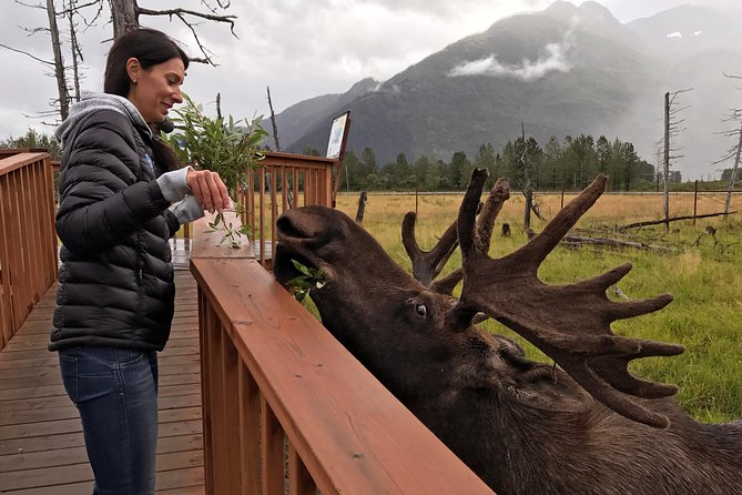 Glaciers and Wildlife: Super Scenic Day Tour from Anchorage - Is the $235 price tag worth it for your Alaska trip?