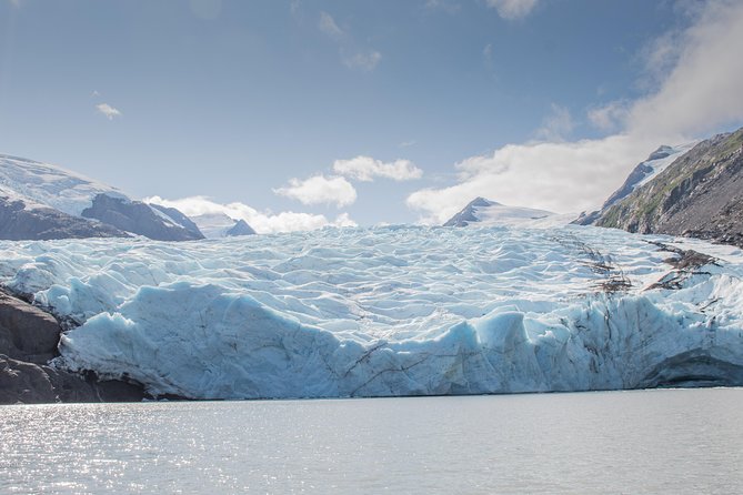Glaciers and Wildlife: Super Scenic Day Tour from Anchorage - Portage Glacier lake cruise, plus the lodge break you’ll want