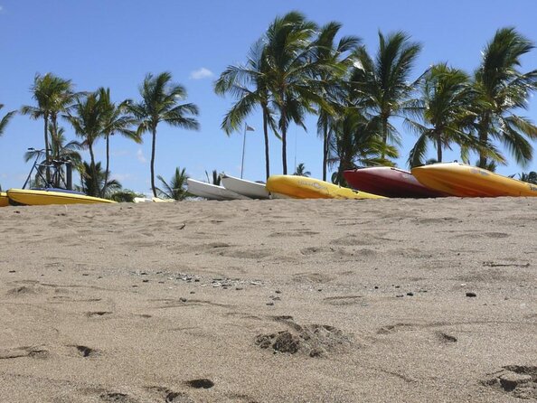 Glass-Bottom Boat Cruise from Waikoloa - Key things I’d plan around