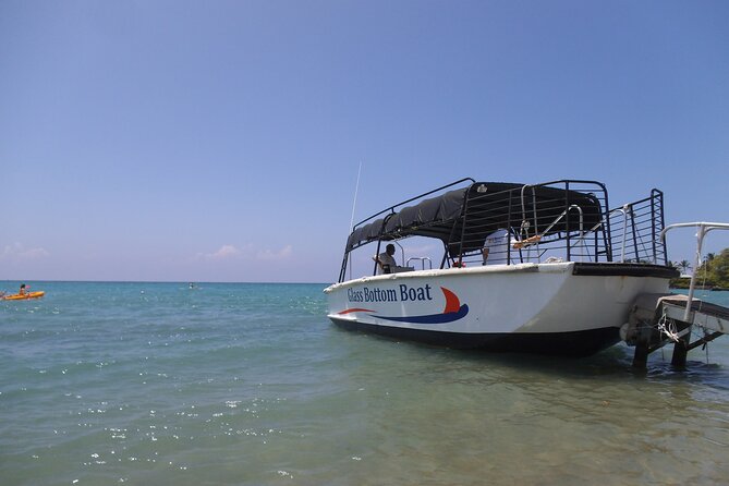 Glass-Bottom Boat Cruise from Waikoloa - Who should book this cruise, and who might skip it
