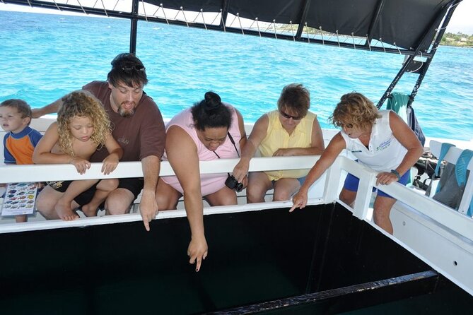 Glass-Bottom Boat Cruise from Waikoloa - Should you book this Waikoloa glass-bottom cruise?