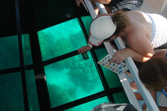 Glass-Bottom Boat Cruise from Waikoloa - Anaehoomalu Bay through the glass: what you will actually see in 30 minutes