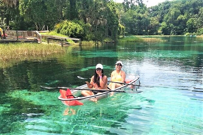Glass Bottom Kayak Eco Tour through Rainbow Springs - Wildlife spotting odds: turtles, alligators, otters, and birds