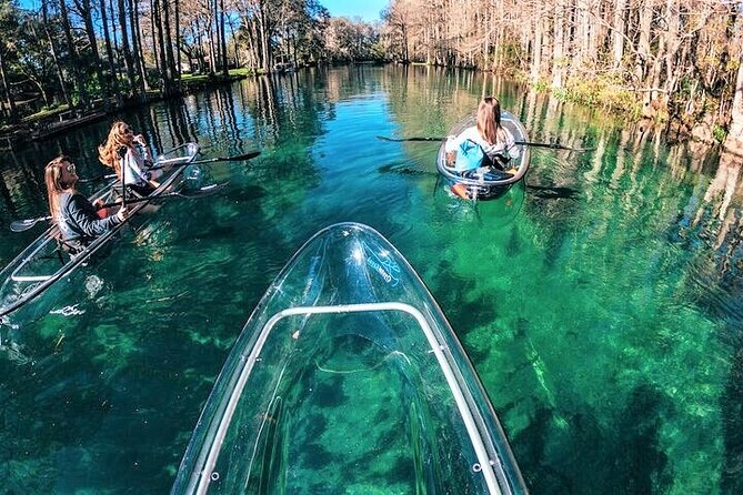 Glass Bottom Kayak Eco Tour through Rainbow Springs - Who should book this Rainbow Springs clear-kayak eco tour?