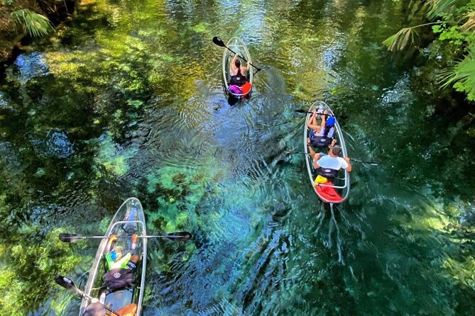 Glass Bottom Kayak Tours of Silver Springs - Key Things That Make This Kayak Tour Worth Your Time