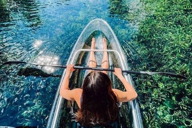Glass Bottom Kayak Tours of Silver Springs - The Stop You’re Really There For: Underwater Life, Not Just Pretty Water