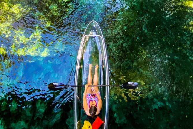 Glass Bottom Kayak Tours of Silver Springs - Cost and Value: The $84 Tour Price Plus State Park Fees