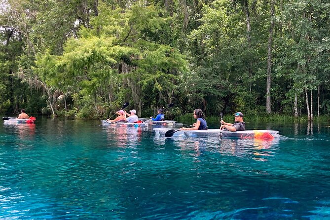 Glass Bottom Kayak Tours of Silver Springs - Which Type of Traveler Should Book This?