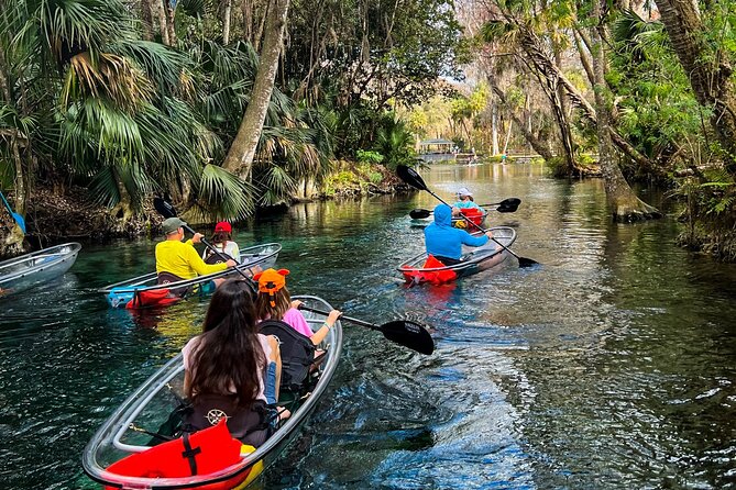 Glass Bottom Kayak Tours of Silver Springs - What Happens Before You Paddle: Meet-Up, Training, and Safety Gear