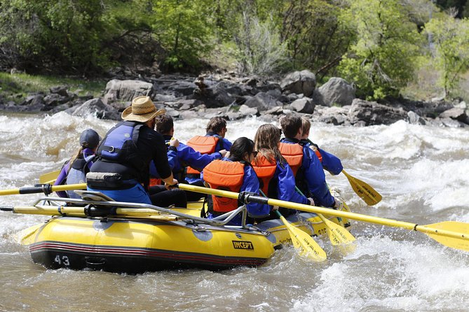 Glenwood Springs Half-Day Rafting Trip - Picking your departure time and planning around water levels
