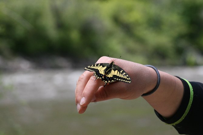 Glenwood Springs Half-Day Rafting Trip - FAQ