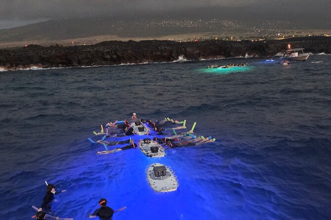 Glow of the Deep: Night Snorkeling with Manta Rays - How the light board works (and why mantas come closer)