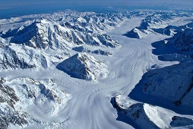 Grand Denali Flightseeing tour from Talkeetna - Price and Value: What $475.15 Buys You