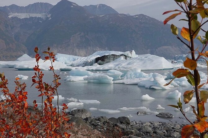 Grand Knik Helicopter Tour - 2 hours 3 landings - ANCHORAGE AREA - Price and value, plus the weight rules that can change your cost