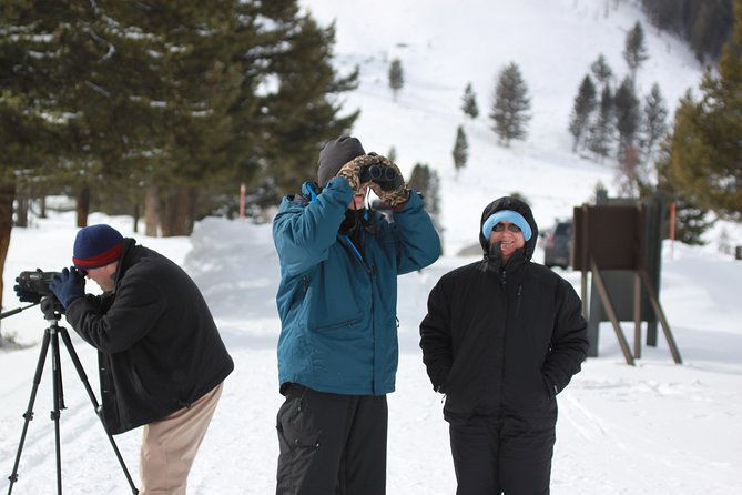Grand Teton and National Elk Refuge Winter Wonderland Full Day Adventure - Lunch in Jackson: a warm pause with mountain views