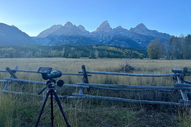 Grand Teton Half Day Tour - Signal Mountain, Glacier View Turnout, and Moose Wilson Road odds