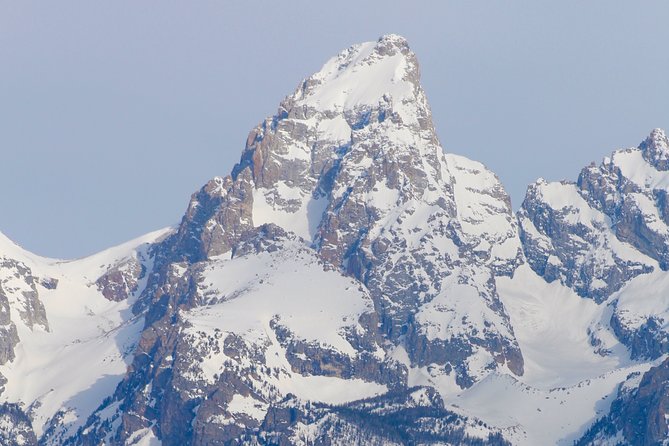 Grand Teton Half Day Tour - Teton Point, Willow Flats, and Jackson Lake to wrap the loop