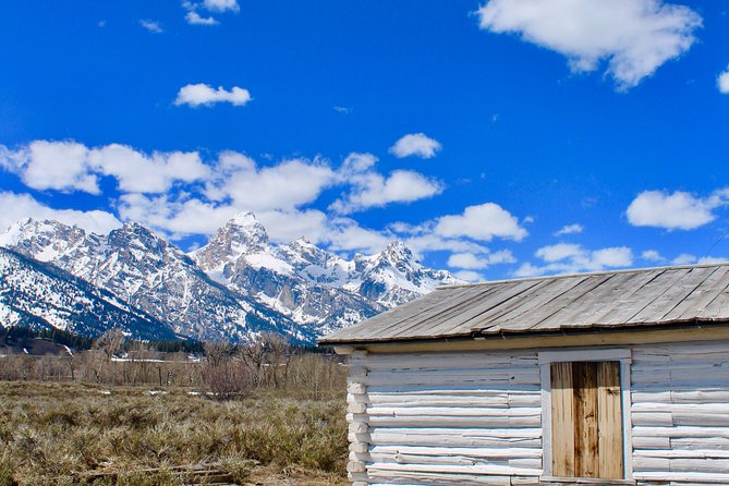 Grand Teton Half Day Tour - Who this tour fits best, and what to expect from the pace