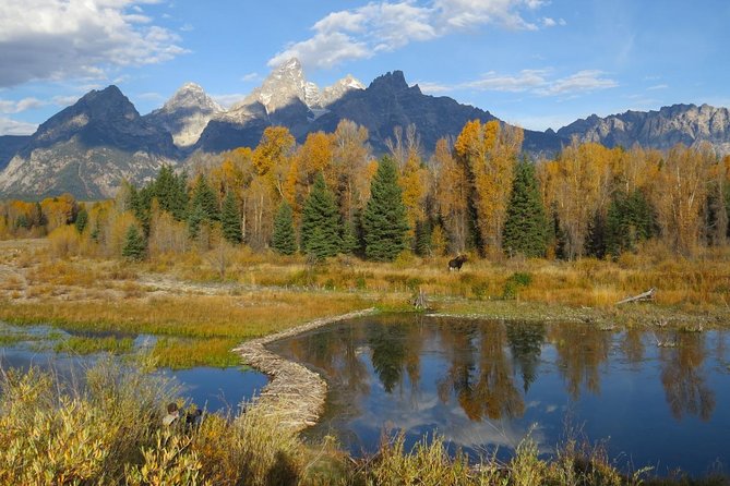 Grand Teton National Park - Sunset Guided Tour from Jackson Hole - Dinner Is Included, and It Changes How You Enjoy the Tour