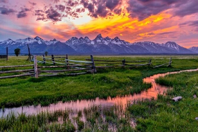 Grand Teton Wildlife Safari in a Enclosed or Open-Air Vehicle (season dependent) - Key Safari Highlights You Can Count On