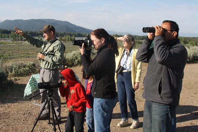 Grand Teton Wildlife Safari in a Enclosed or Open-Air Vehicle (season dependent) - Binoculars, Snacks, and Photo-Friendly Breaks