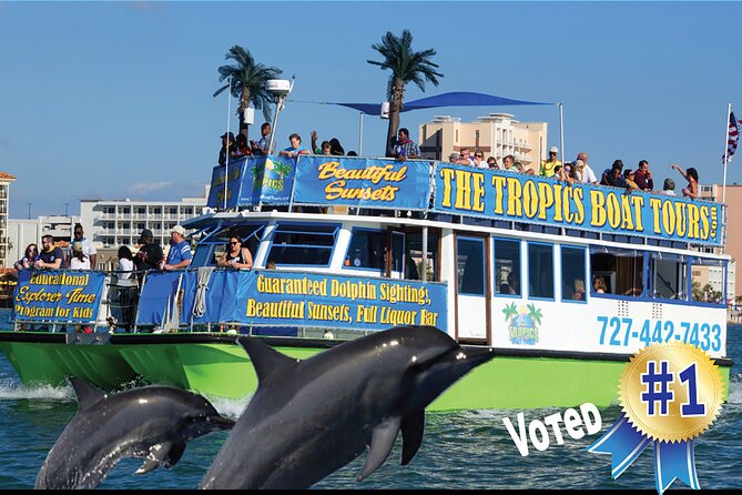 Guaranteed Dolphin Sighting Tour on Tropics Boat Tours - Dolphin-spotting basics: bottlenose pods and what you can realistically expect