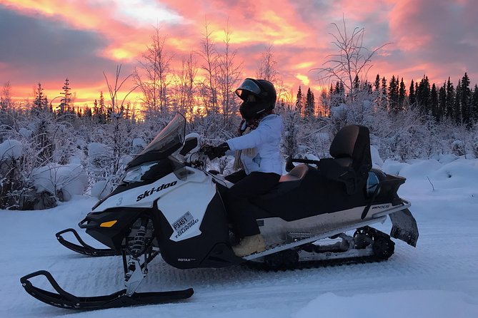 Guided Fairbanks Snowmobile Tour - How Much It Costs and Why It Feels Fair