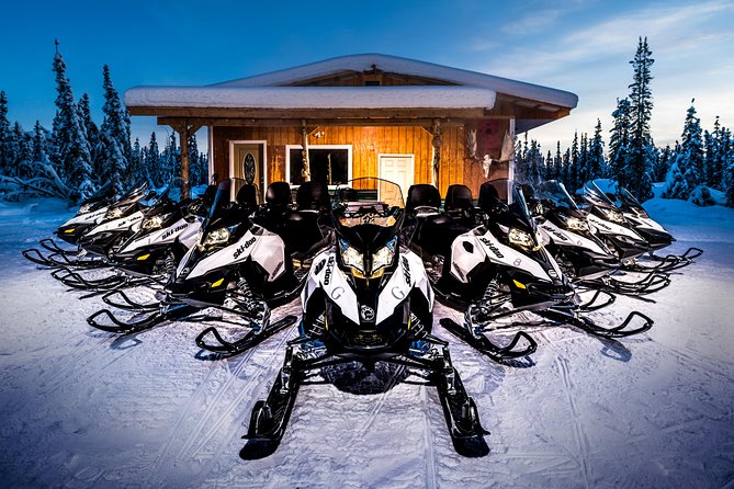 Guided Fairbanks Snowmobile Tour - Small Group Size, Big Difference in Comfort