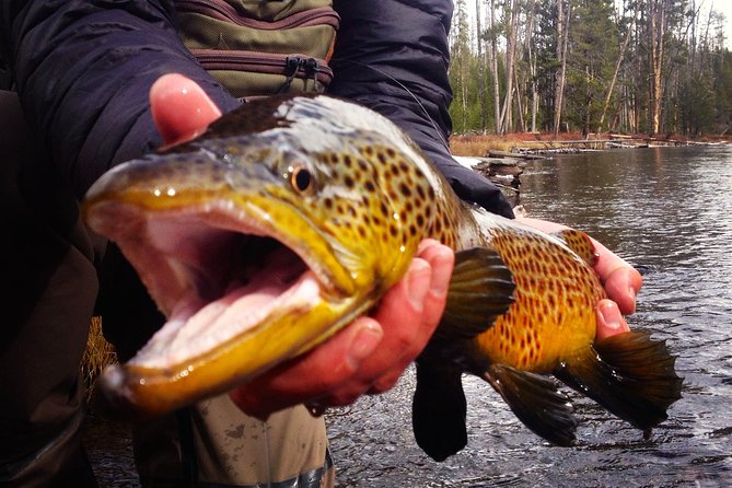 Guided Fishing Trip in Jackson Hole - Learning fly fishing the useful way, not the theory way