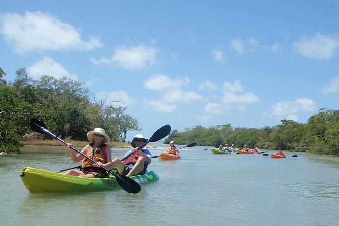 Guided Kayak Eco Tour - Bunche Beach - Key points before you paddle