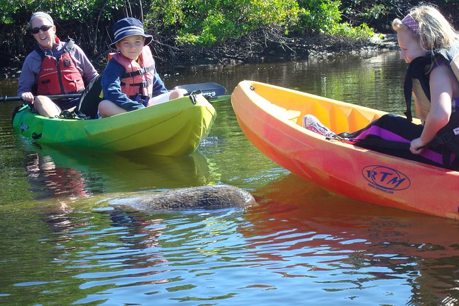 Guided Kayak Eco Tour - Bunche Beach - Your 2.5 to 3 hour paddle plan, from meeting point to Bunche Beach