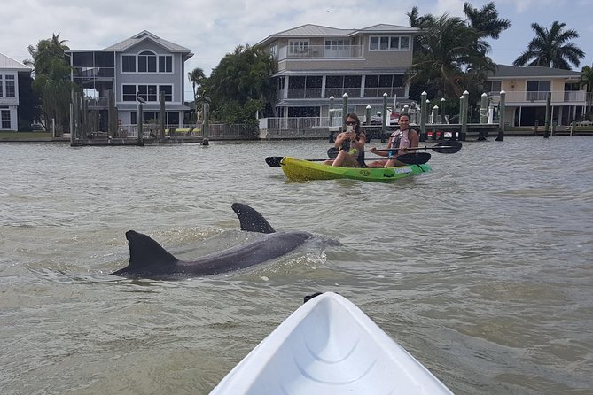 Guided Kayak Eco Tour - Bunche Beach - Guides, group size, and the comfort level you can expect