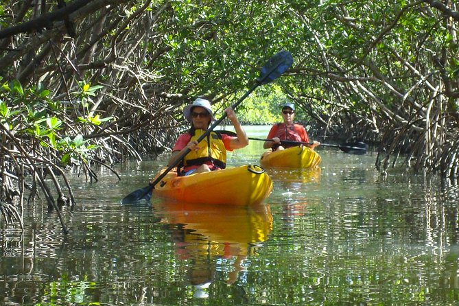 Guided Kayak Eco Tour - Bunche Beach - Photo expectations: phones, guide cameras, and your best plan
