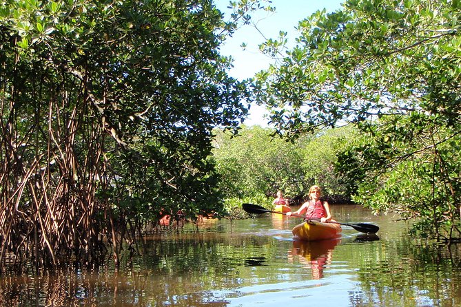 Guided Kayak Eco Tour - Bunche Beach - Should you book this Bunche Beach guided kayak eco tour?