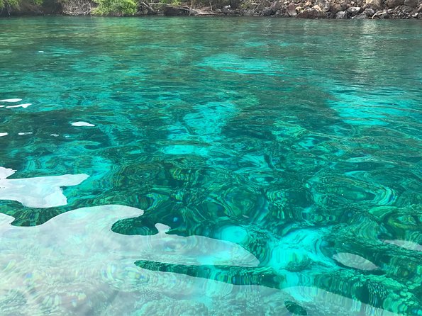 Guided Outrigger Canoe Tour in Kealakekua Bay - Why the $155 Price Feels Reasonable for What You Get
