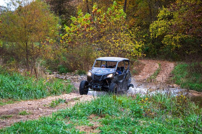 Guided Ozarks Off-Road Adventure Tour - Safety first: age rules, restraints, and the 900 lbs limit